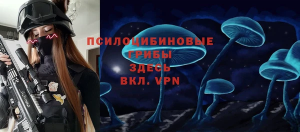 а пвп мука Алзамай