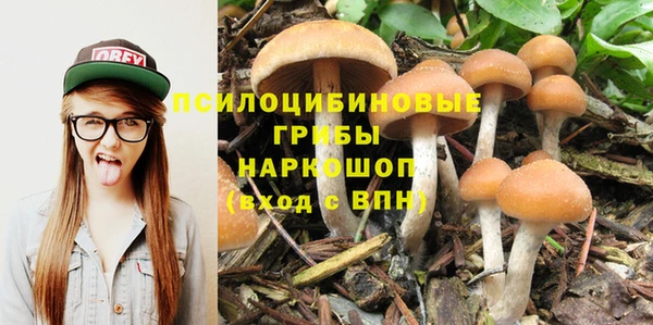 прущие грибы Алексеевка