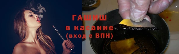 прущие грибы Алексеевка