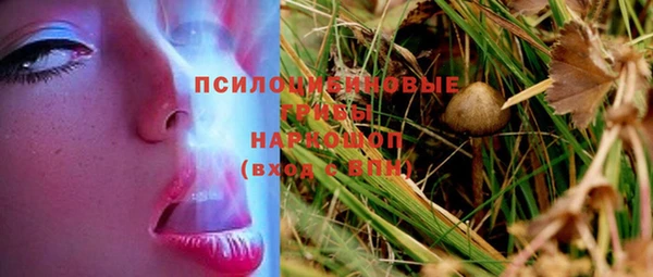 синтетический гашиш Алексин